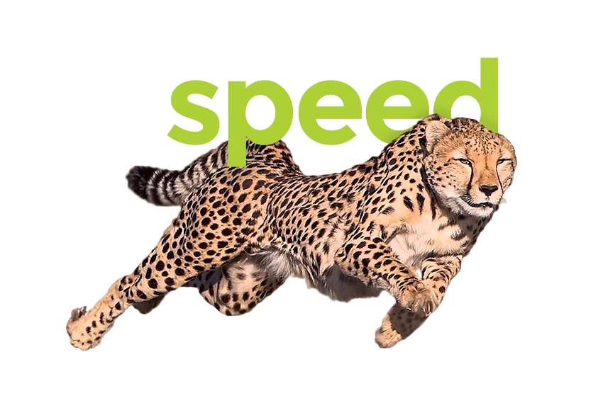 Speedy Cheertah